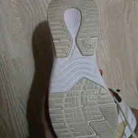 کتونی اورجینال پوما|کیف، کفش، کمربند|ری, جوانمرد قصاب|دیوار