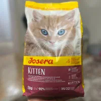 جوسرا کیتن غذای گربه