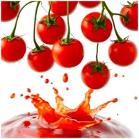 رب گوجه آواناز