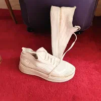 کفش اسپورت