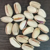 پسته|خوردنی و آشامیدنی|تهران, شهرک ولیعصر شمالی|دیوار