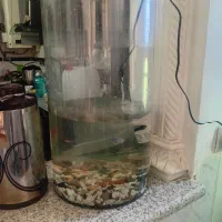 آکواریم با تجهیزات