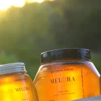 عسل کوهستانی منطقه آذربایجان|خوردنی و آشامیدنی|تکاب, |دیوار