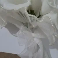 گل عروس زیبا