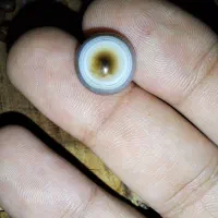 نگین انگشتر ومهره|کلکسیون اشیاء عتیقه|حمیدیه, |دیوار