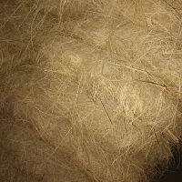 یونجه|لوازم جانبی حیوانات|ارومیه, |دیوار