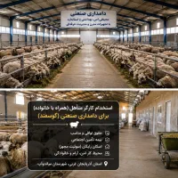 استخدام کارگر(همراه با خانواده) برای دامداری صنعتی