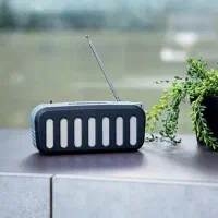 اسپیکر حرفه ای جیپاس ۱۱۱۸۴ شارژی رادیو دار|پخش‌کننده همراه|شیراز, بازار|دیوار