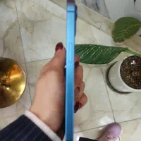 آیفون۱۳|موبایل|کاشان, میدانگاه آقا|دیوار