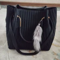 کیف مجلسی