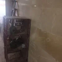 گنجینه کبوتر