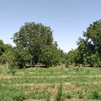جویای کار، برای چند روز تعطیلی پیش رو