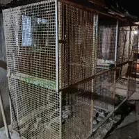 لانه،گنجه فنسی اهنی