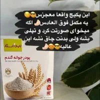 پودر جوانه گندم بین استار