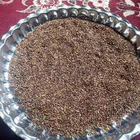 کنجد