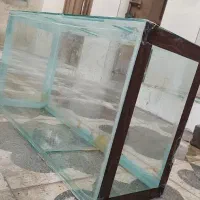 اکواریوم