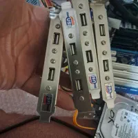 دانگل و براکت