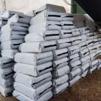 سیلاژ ذرت علوفه ای - چاپر