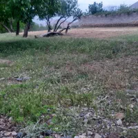 زمین-باغ-ویلا-در-روستای-توریستی-مرق-کاشان