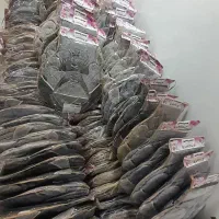 تولید پخش دمکنی،ابگیر،پیشبند،دستگیره