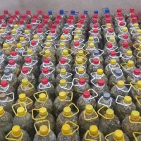 فروش خیارشور