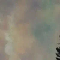 فون (پرده عکاسی) خانگی و کاملا تمیز