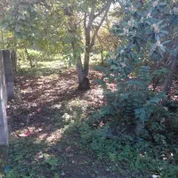 فروش ۴۰۰متر زمین مسکونی حوزه شهری|فروش زمین و ملک کلنگی|شاندرمن, |دیوار