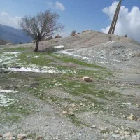 زمین-صد-متری