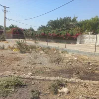 فروش زمین باغ ویلا