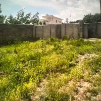 زمین در فشند بالای هشتگرد