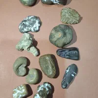 سنگهای  کمیاب فسیلی