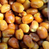 خرمازاهدی رطبی