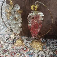 انگور تزیینی