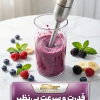 گوشت کوب برقی فلر مدل feller HB 819|خردکن، آسیاب، غذاساز|رشت, سعدی (تختی)|دیوار