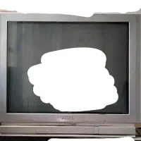 تلوزیون