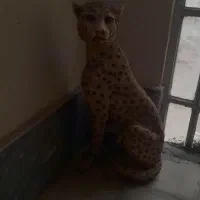 پلنگ|مجسمه، تندیس، ماکت|شیراز, شهرک سراج|دیوار