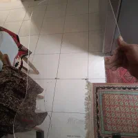 طلق موتور