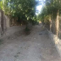باغچه