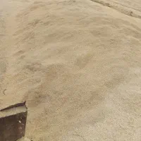 کاه نخود