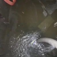 چاله اسانسور وغیره با قیمت مناسب