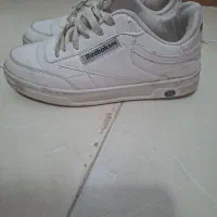 کتانی زنانه|کیف، کفش، کمربند|رشت, کوی مهر|دیوار