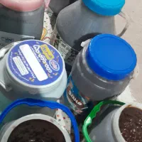 محصولات خانگی|خوردنی و آشامیدنی|رشت, عینک|دیوار