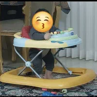 روروئک چیکواصل