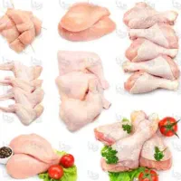 نیرو برای قطعه بندی مرغ