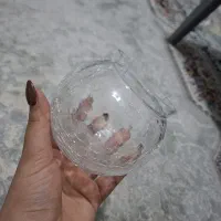 پاسماوری|ظروف سرو و پذیرایی|مشهد, ایثارگران|دیوار