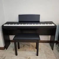 پیانو دیجیتالp115