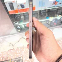 16 promax zaa 256|موبایل|بندر انزلی, شاکوچه|دیوار