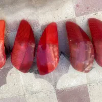 چراغ عقب ، خطر ۲۰۶