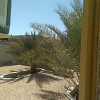 اجاره روزانه/هفتگی سوییت