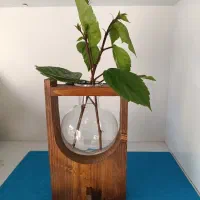 تخفیف 40 درصدی کادوهای یلدا فقط امشب